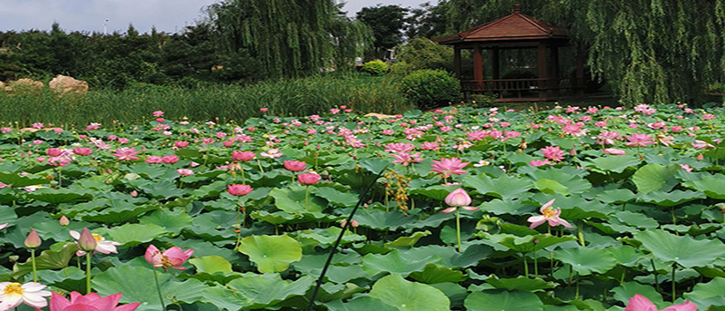 沈陽(yáng)炎熱夏季到來(lái)，使用電加熱鍋爐需要注意的幾個(gè)方面你知道嗎